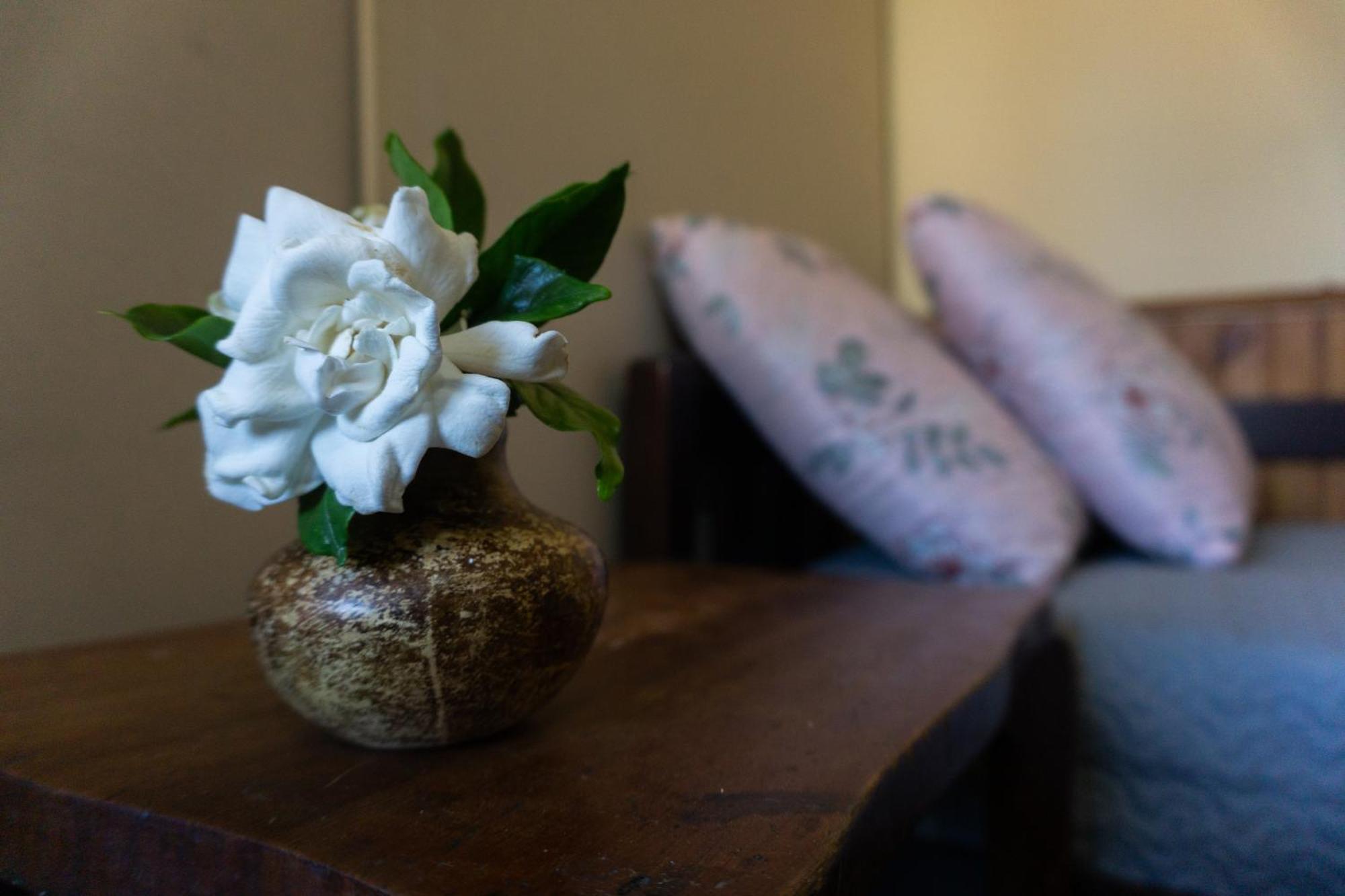 Mi Casa Es Tu Casa Apartment Melo Ngoại thất bức ảnh