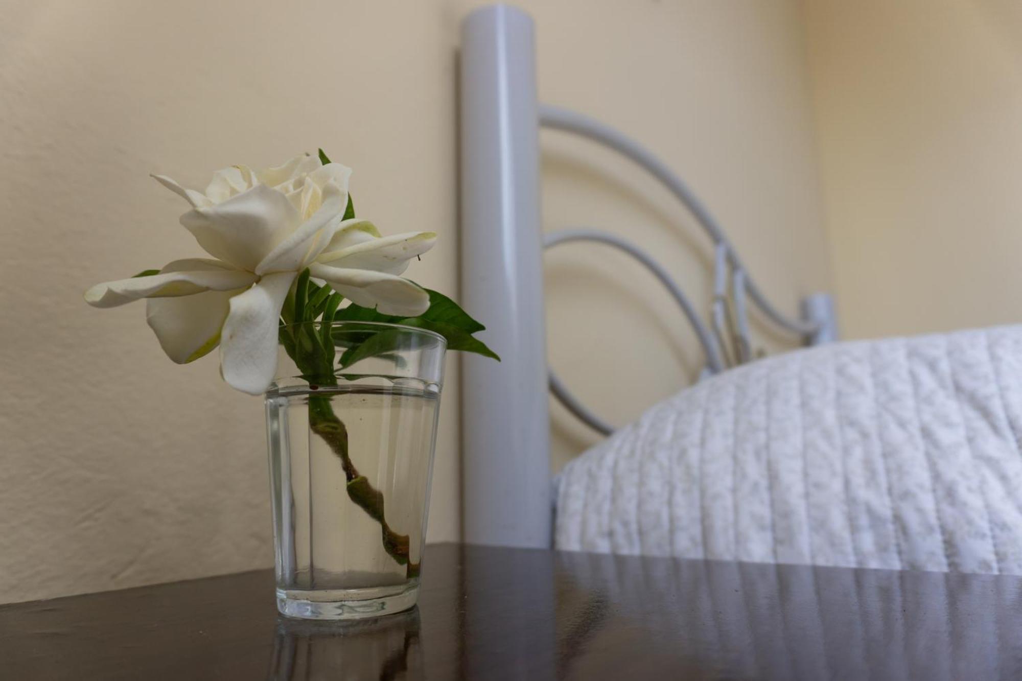 Mi Casa Es Tu Casa Apartment Melo Ngoại thất bức ảnh